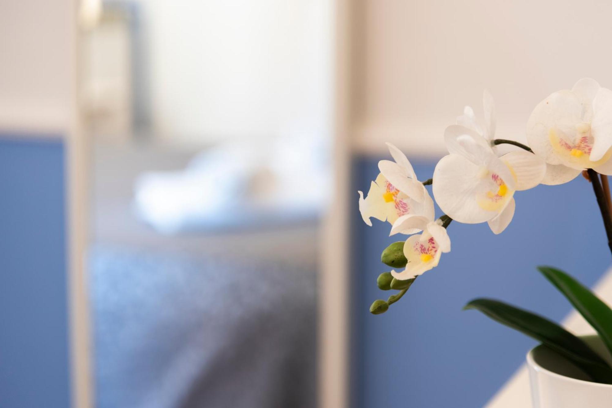 Gregorios San Pietro Hotel Рим Екстериор снимка