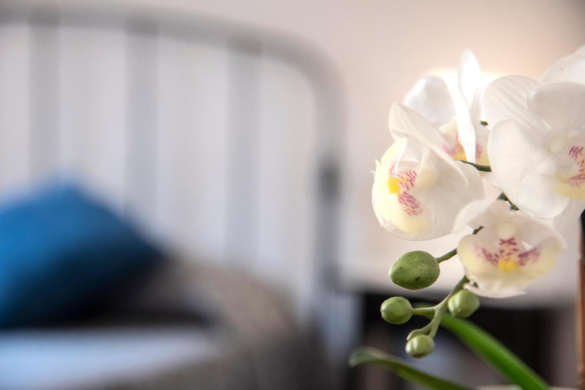 Gregorios San Pietro Hotel Рим Екстериор снимка